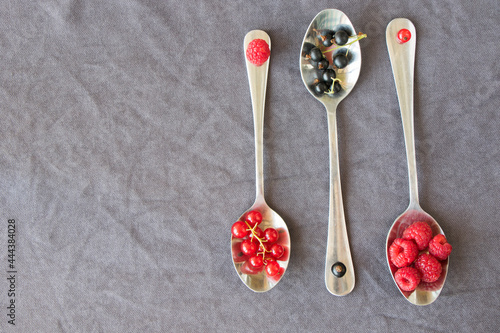 Red and black currant and loganberries on the iron spoon on the gray background.