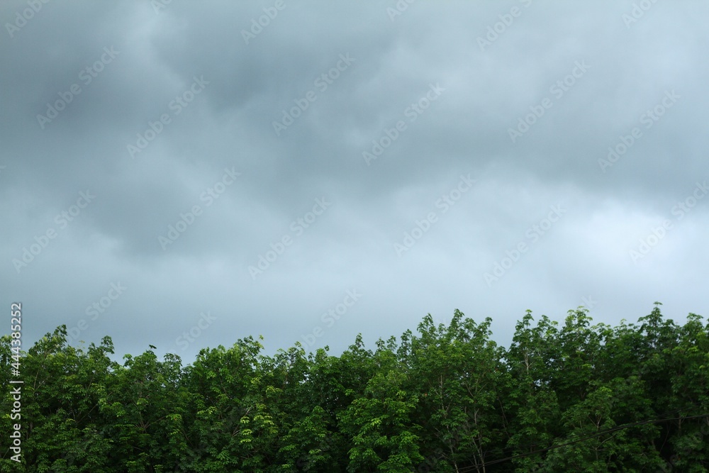 Dirty white clouds float in the sky.