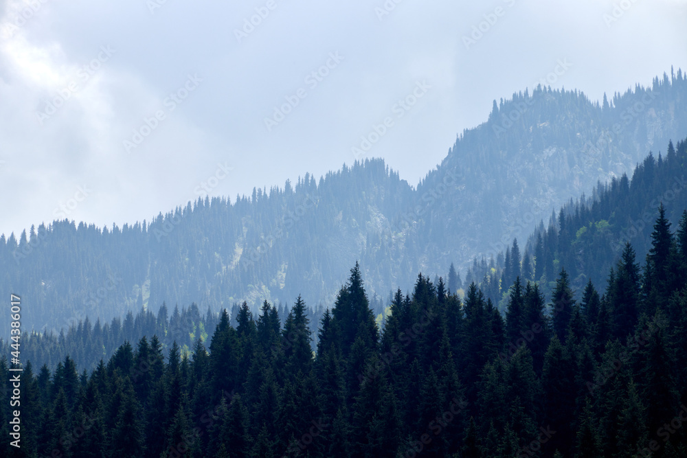 spruce-covered mountain slopes stretching into the distance