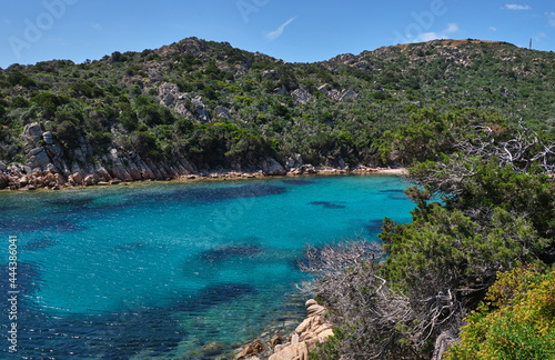Fototapeta Naklejka Na Ścianę i Meble -  Cala Brigantina beach, little cove in Caprera island, Sardinia