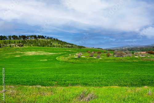 Beautiful israeli landscape in winter