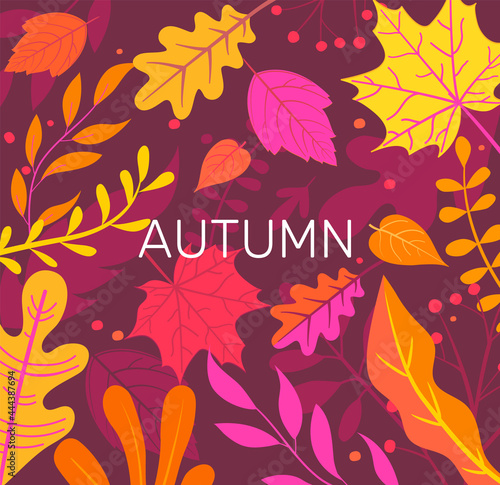 Autumn banner full of colorful autumn leaves. Fall season flyers,presentations, reports promotion,web and leaflet, card, poster, invitation, website or greeting card. Vector illustration