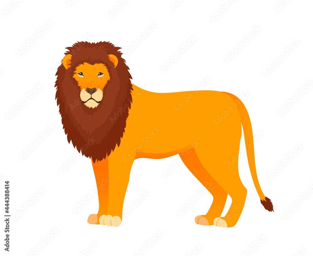 Obraz premium Lion illustration