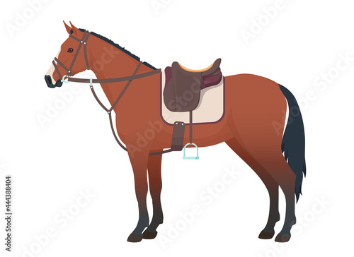 Harnessed horse.