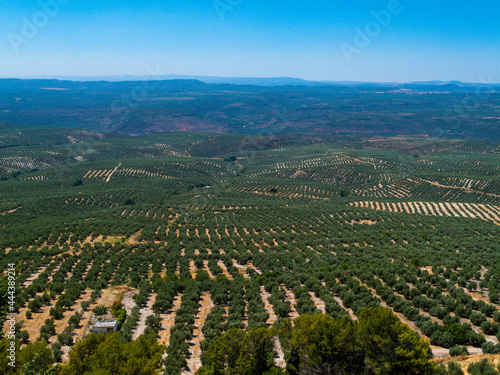 Paisaje de olivares en la Sierra de Cazorla, Jaén, Andalucía, España.