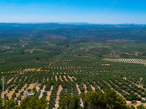 Paisaje de olivares en la Sierra de Cazorla, Jaén, Andalucía, España. photo