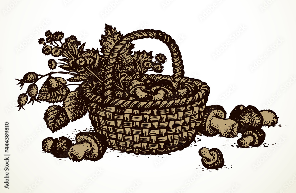 Obraz premium Vector still life of mushrooms, rose hips and hazelnut in basket