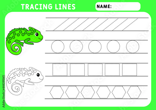 Trace line worksheet for kids. Vector cute African animal. Chameleon. Basic writing. Working pages for children. Preschool or kindergarten worksheet. Trace the pattern. Illustration and vector outline