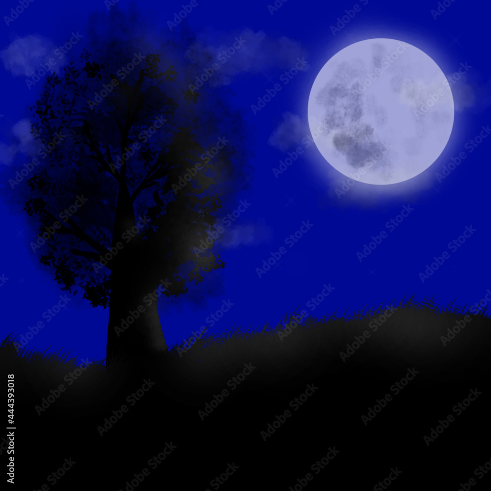 full moon in the night full moon in the night