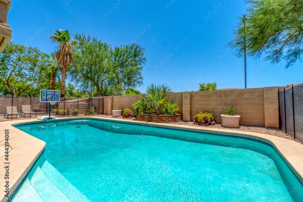 Back yard pool