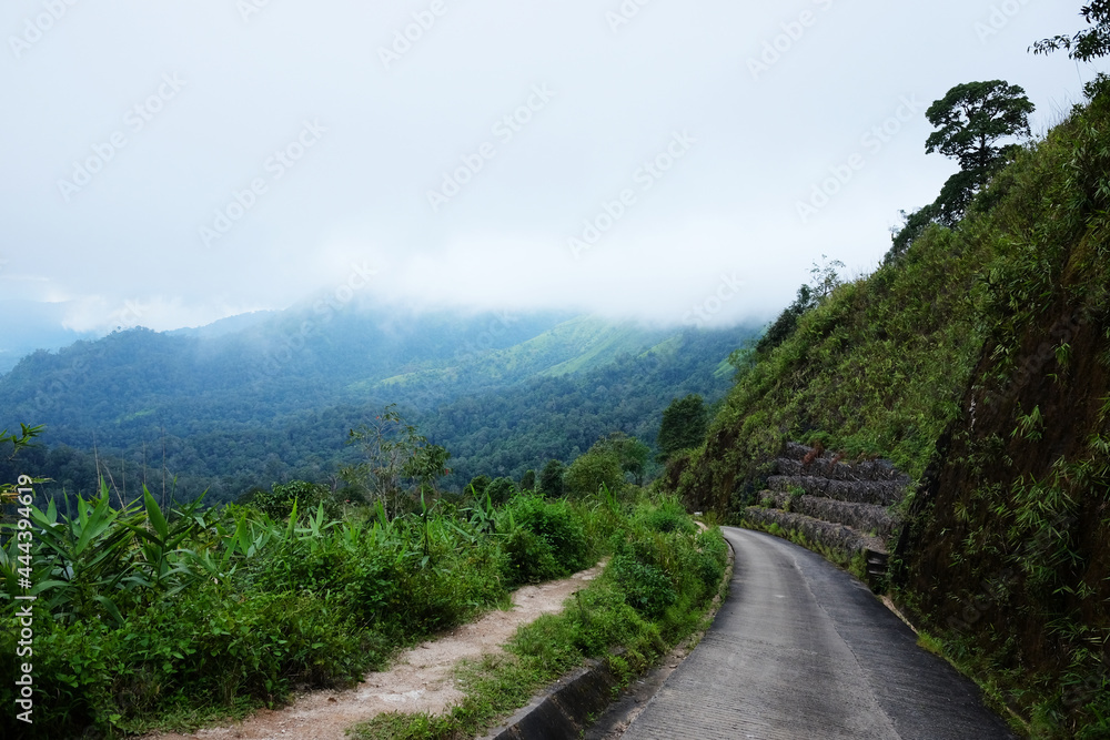 Winding road in Hill tribe village with beautiful green in rainforest and morning mist on the mountain, Thailand