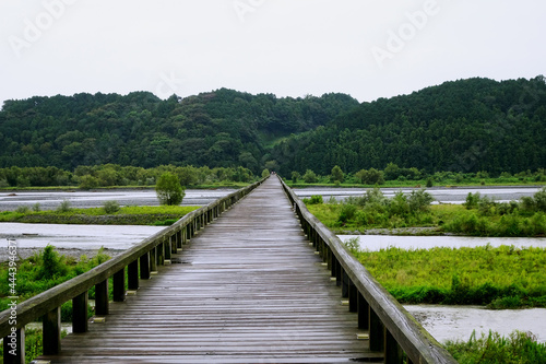 雨に濡れた蓬萊橋と南岸の風景【大井川】／静岡県浜松市