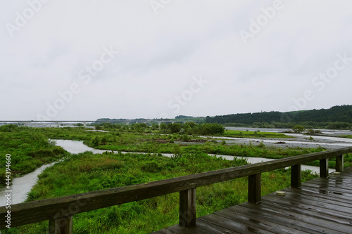 Wallpaper Mural 蓬萊橋から見る大井川の下流側／静岡県浜松市 Torontodigital.ca