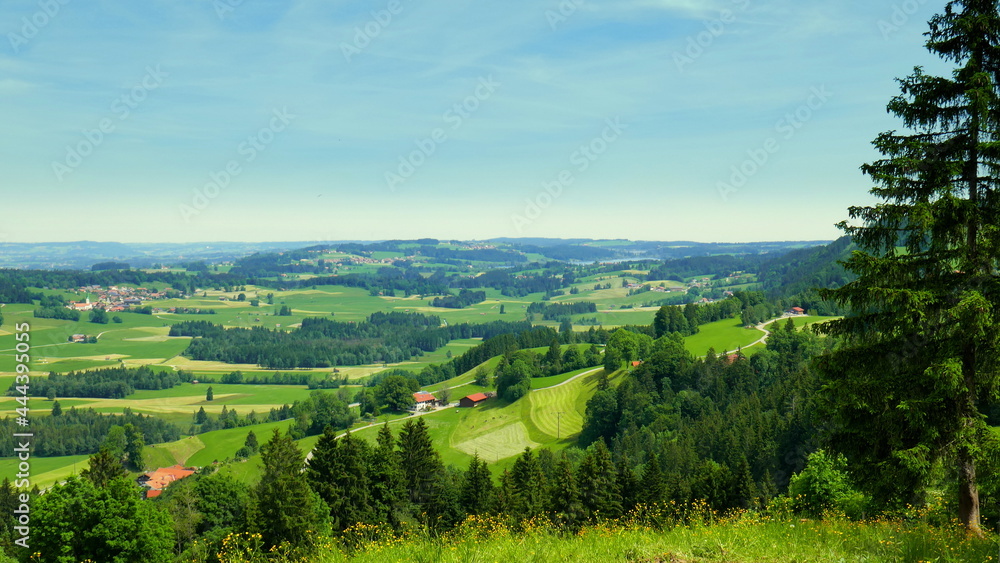 Blick auf grüne Landschaft bei Kranzegg im Allgäu mit Wiesen und Wäldern unter blauem Himmel