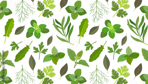Seamless pattern with spicy herbs.