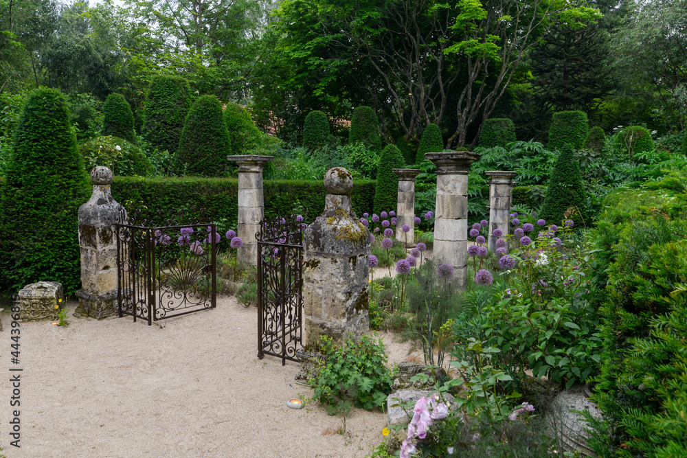 Ail d'ornement, colonnes, Jardin Agapanthe, Grigneuseville, 76, Seine Maritime, Normandie