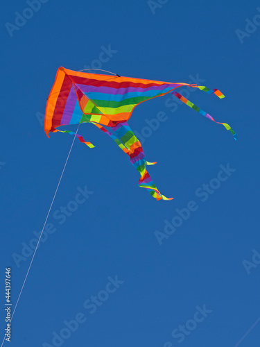 Isolated funny rainbow color kite flying in the blue sky