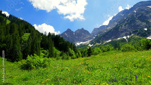 Landschaft am Wanderweg Bärguntta im Kleinwalsertal zwischen Wald und Bergen bei blauem Himmel  © globetrotter1