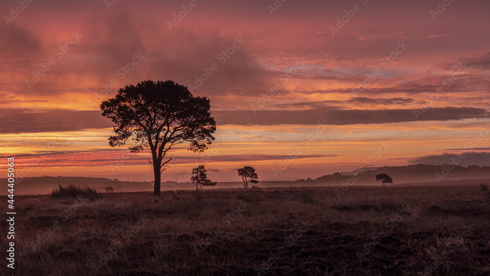 Obraz premium What a start to a day