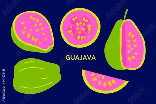 Set of exotic guajava. Vector doodle illustration. Tropical guava collection isolated on the dark background