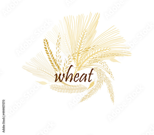Abstract background with ears of wheat. Vector illustration