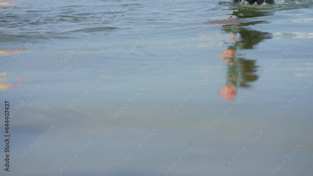 Woman wearing wetsuit walking in water making splashes, big inflatable buoys on blurred background. Partial view of athlete taking part in triathlon competition. Concept of sport Woman wearing wetsuit walking in water making splashes, big inflatable buoys on blurred background. Partial view of athlete taking part in triathlon competition. Concept of sport