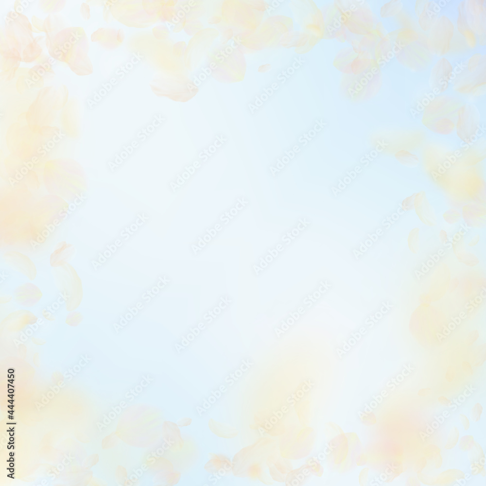 Yellow orange flower petals falling down. Fantasti Yellow orange flower petals falling down. Fantasti