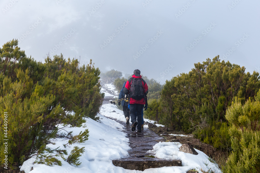 Three people hiking in Pico Ruivo footpath covered with snow in Santana, Madeira island