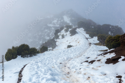 Wallpaper Mural Overview of Pico Ruivo footpath covered with snow in Santana, Madeira island Torontodigital.ca