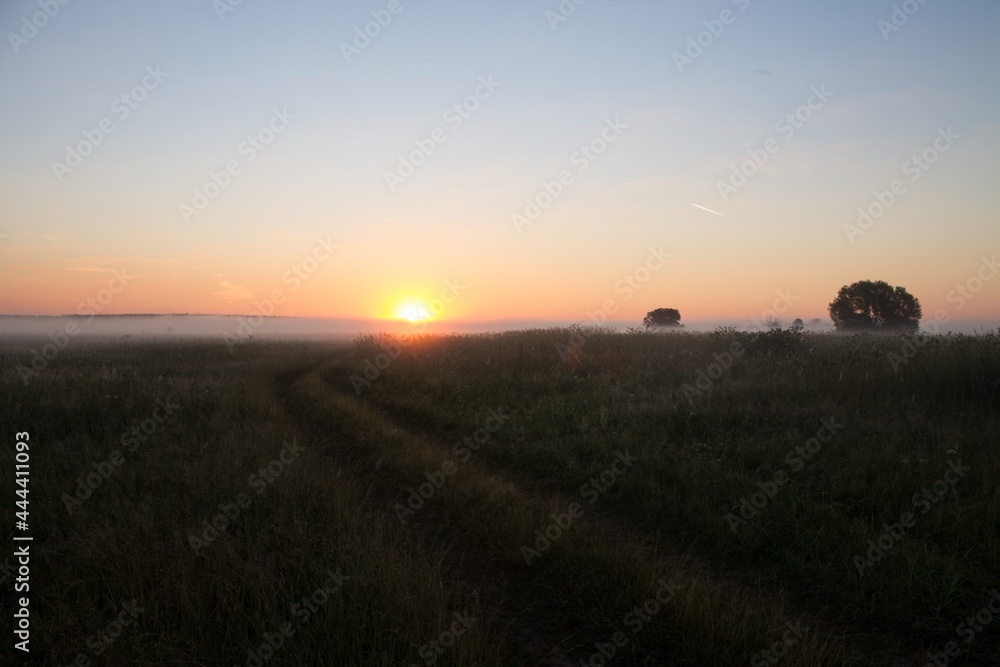 Romantic landscape-the sun rises on the horizon over a summer meadow with tall grass and a country road and fog defocused and a space to copy in the Moscow region in Russia