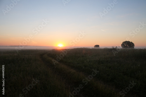 Romantic landscape-the sun rises on the horizon over a summer meadow with tall grass and a country road and fog defocused and a space to copy in the Moscow region in Russia