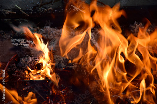 A blazing fire in the dark. Red-hot heat and tongue flames. Fiery flaming bonfire.The wood is burning in the fire. Burning bird phoenix on black background. Fire creates infinity shapes when it burns.