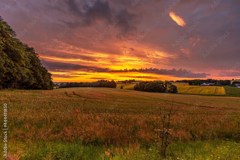 Sunset over the Danish meadow