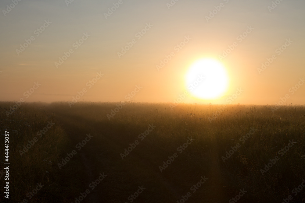 Sunrise on the horizon and fog over a meadow with grass in the foreground on an early summer morning. Concept-the beauty of Russian nature