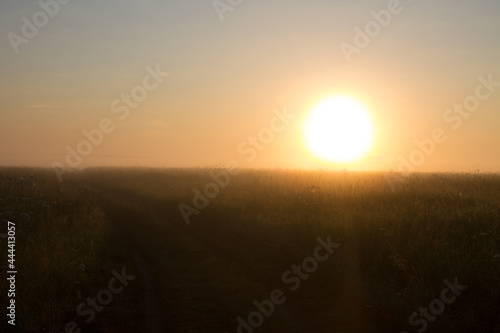 Sunrise on the horizon and fog over a meadow with grass in the foreground on an early summer morning. Concept-the beauty of Russian nature © Inna