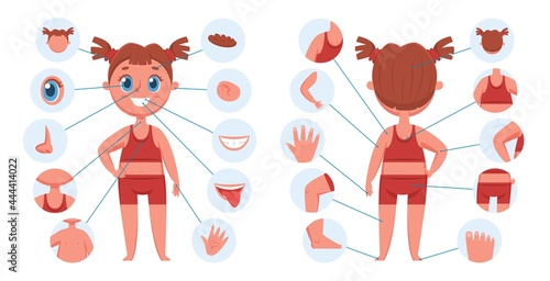 Girl body parts. Learning face parts for children. Child body part for teaching. Vector preschool human anatomy educational illustration. Toddler with ears, mouth, nose and eyebrows