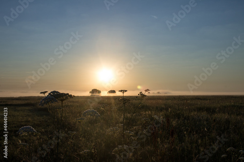 Natural background and space for copying-A beautiful golden sunrise over an endless meadow on a foggy summer morning defocused