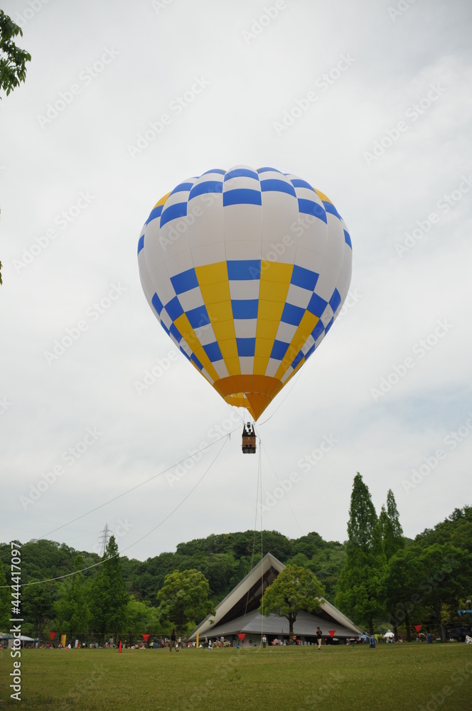 Obraz premium 上昇する気球