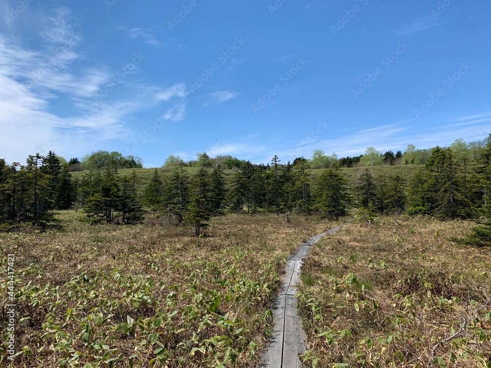 Obraz premium 南浜湿原 メヌウショロ沼 利尻島 利尻礼文サロベツ国立公園
