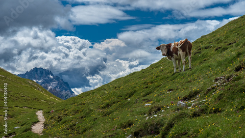 Trekking in the majestic Dolomiti of Alto Adige © zakaz86