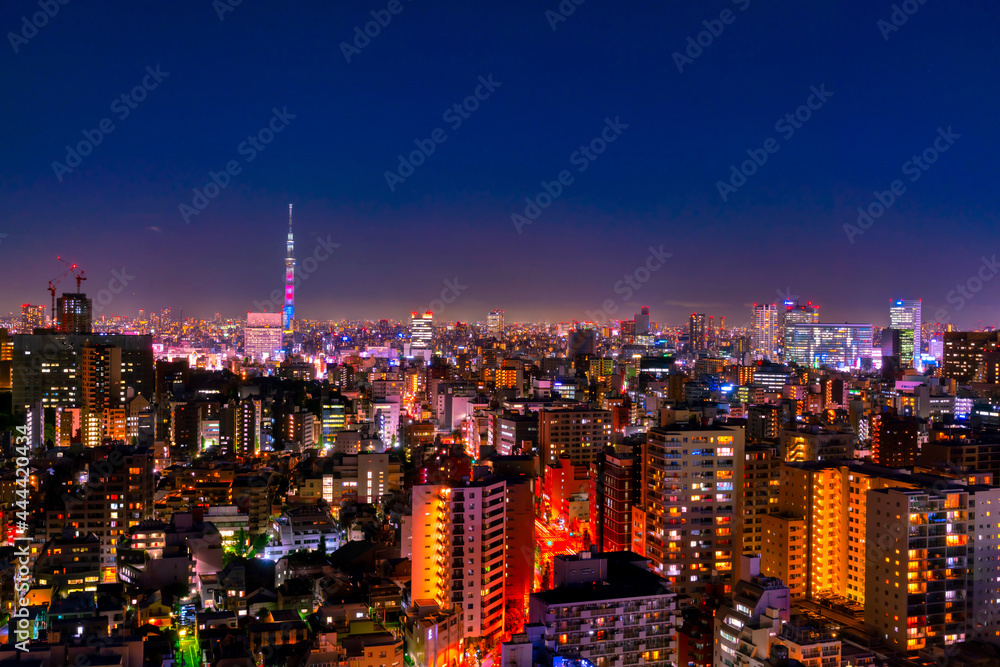 東京夜景　スカイツリーと都心の街並み　