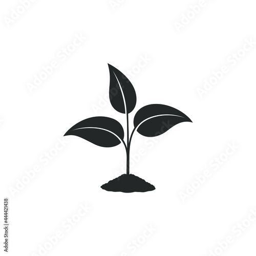 Sprout graphic icon. Young plant growing in the ground sign isolated on white background. Seedling symbol. Vector illustration