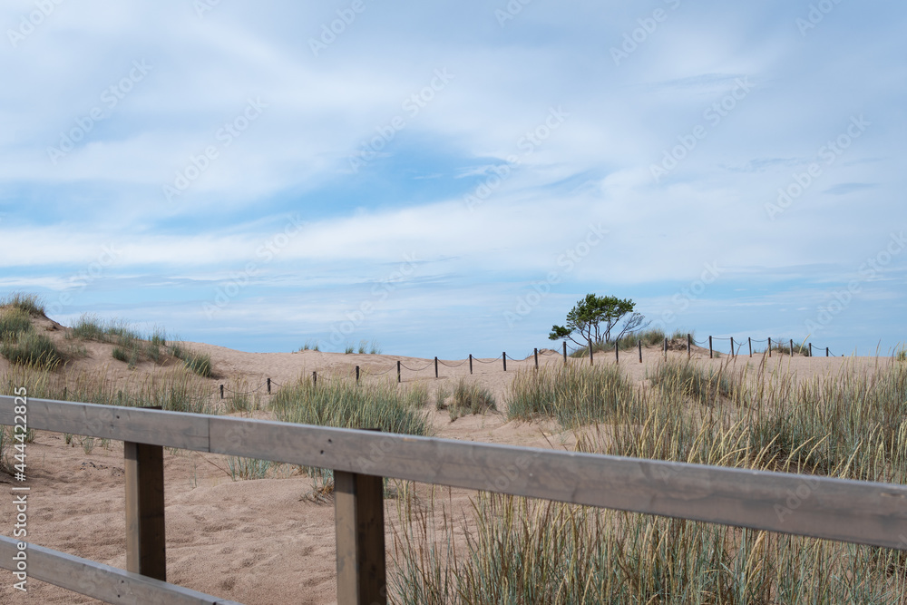 path to the beach with sand dunes