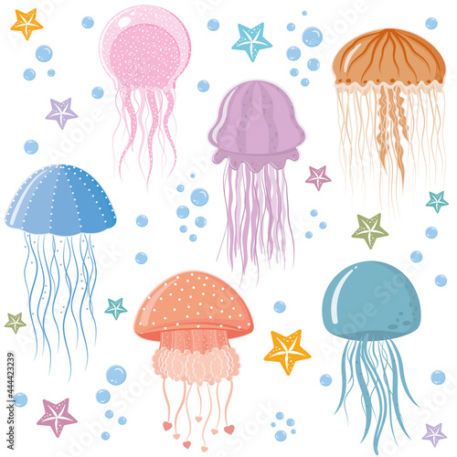 jellyfish pattern, color vector illustration on a white background