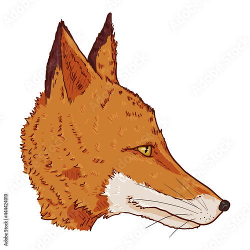 Fox Head. Vector Cartoon Illustration.