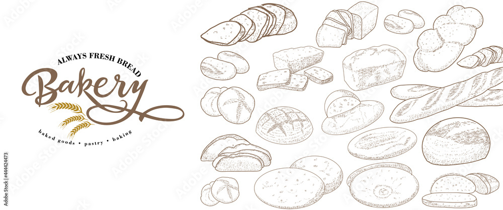 Set of natural elements of bread sketch vector illustration