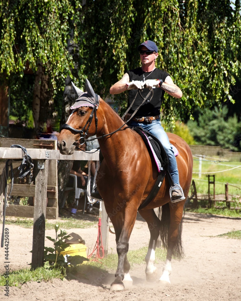 Horse and rider training. Horse riding instructor works with the horse. Horse and rider training. Horse riding instructor works with the horse.