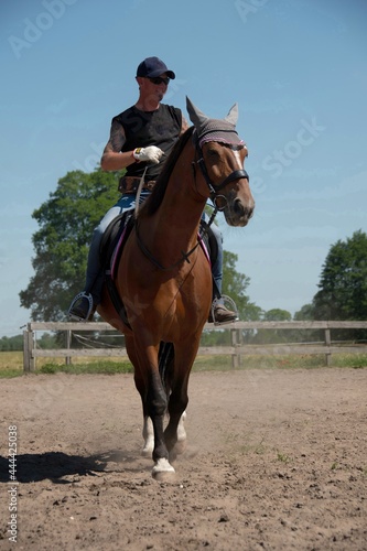 Horse and rider training. Horse riding instructor works with the horse.