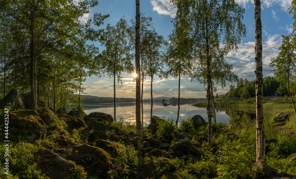 Obraz premium moss covered boulders and birch trees on the shores of a calm idyllic lake in warm evening light and a sun star