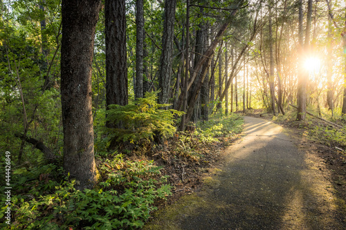 paved walking trail